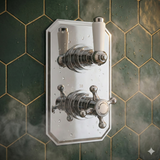 Shower Controls
